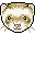 Teh cool ferret-zor